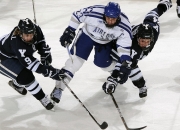 9you娱乐-福克斯爆发，广厦队单节拉开灰熊