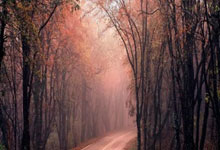 九游体育官方入口-今晚焦点：英格兰绝杀！绝境逢生，三狮怒吼震苍穹！