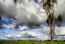 九游体育平台-V5绝杀JDG，Chovy惊艳世界